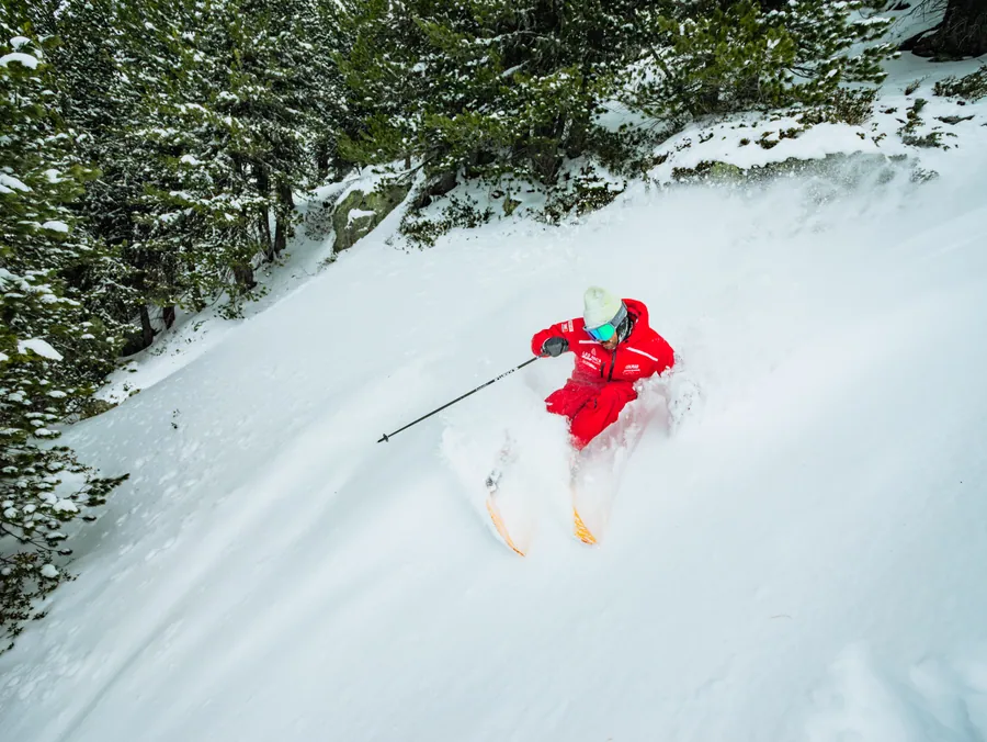Skier dans la neige fraîche au bord des sapins