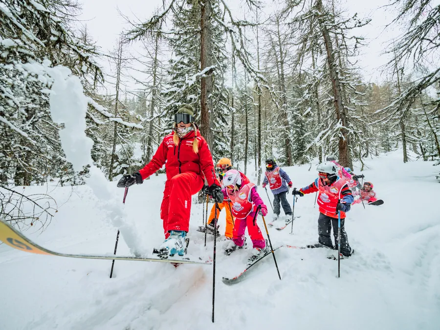La monitrice et son groupe près de la forêt
