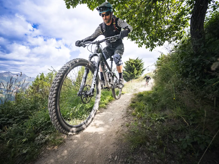 Passage à vélo entre les arbres