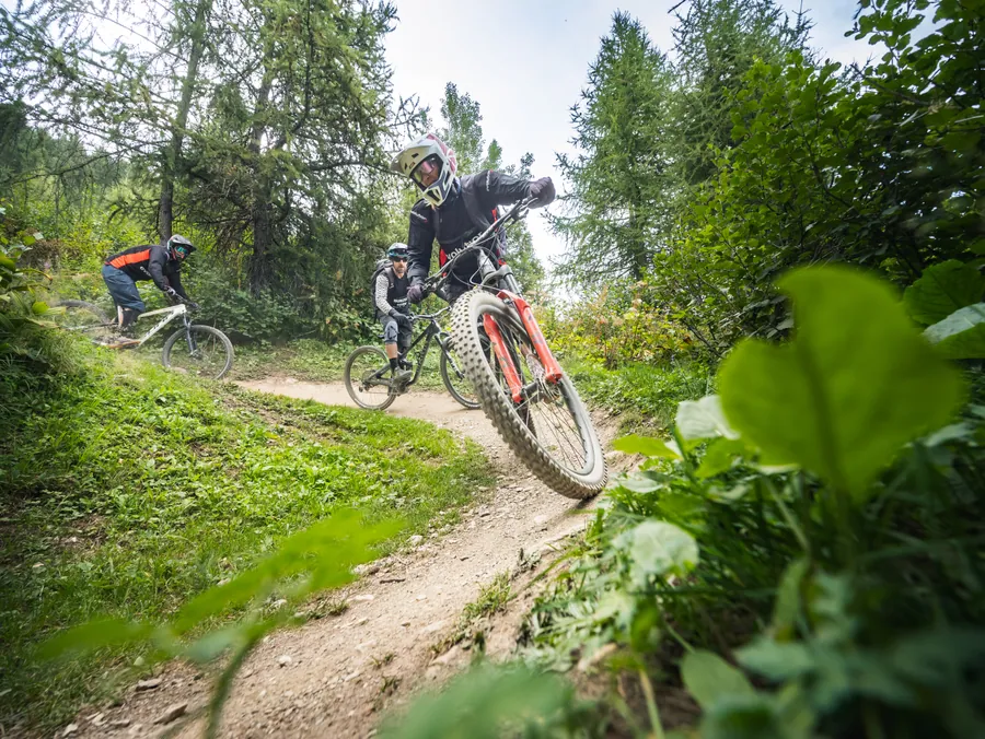 Descente au milieu de la végétation