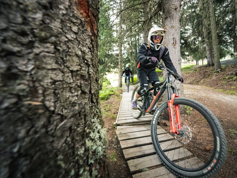 Un rider passe près d’un arbre