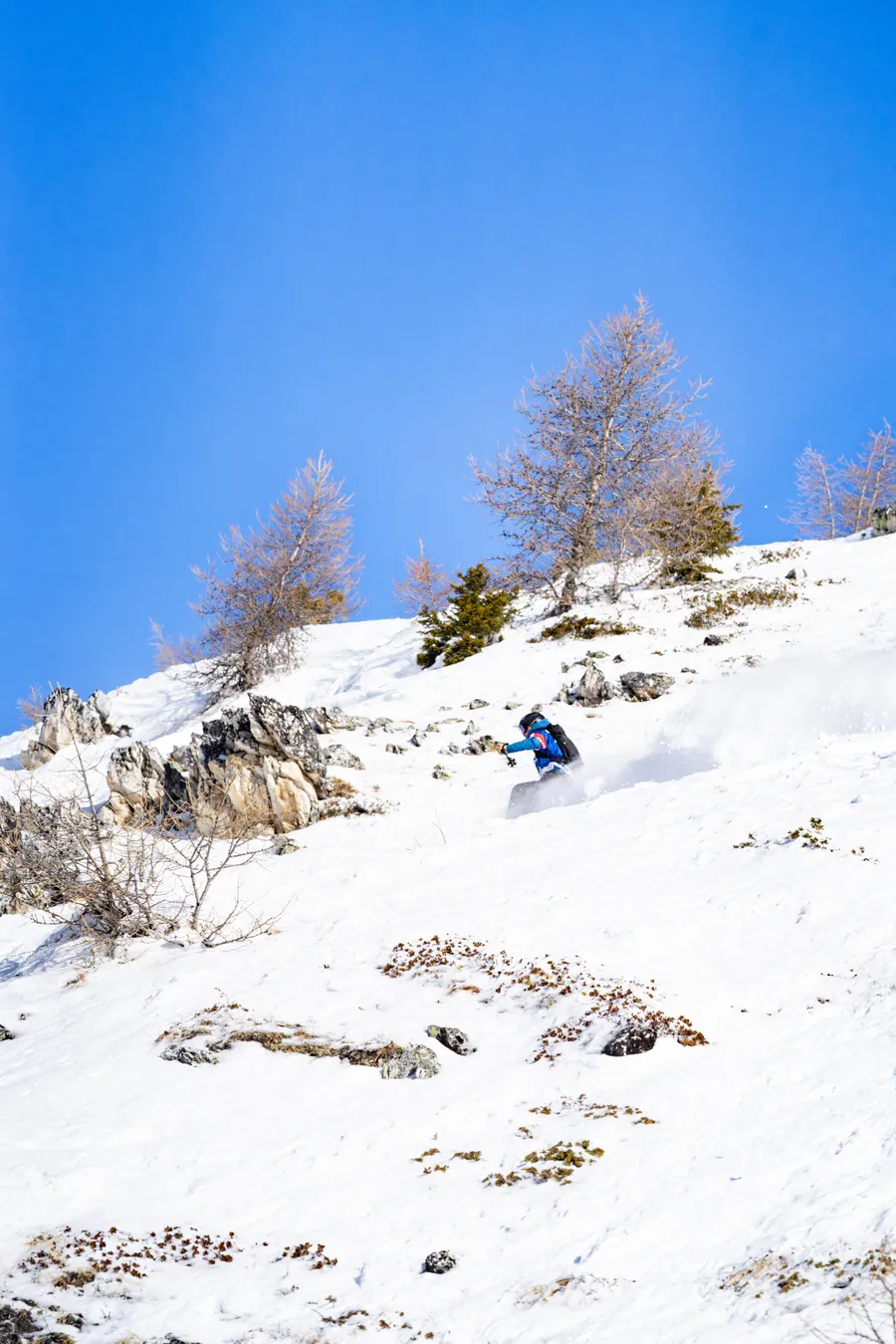 Un skieur entre les arbres dans la neige