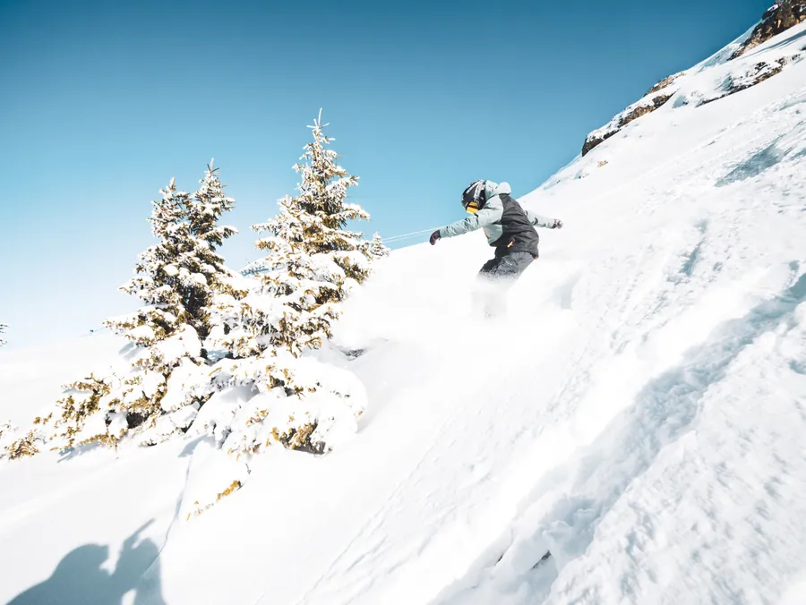 Descente entre les arbres après une chute de neige