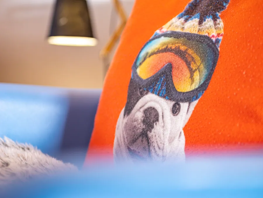 Coussin coloré et détails du salon